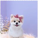 제니살롱 이미지