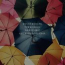 시샘달 이미지