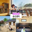 담양 독채 펜션 송선생댁 한옥 자쿠지 숙소 전라도 촌캉스