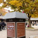 강물놀이터 | 주말 고민 끝! 한국민속촌 정복코스｜놀이·체험·먹거리 올인원 후기