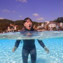 (주)진우투어