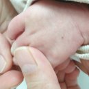 참사랑어머니회 이미지