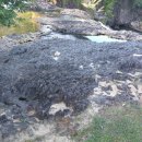 아리아파크 이미지