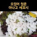 1004마트 금왕점 | 선릉역 횟집 오징어청춘 아나고 세꼬시 / 오징어회 / 아나고 배달