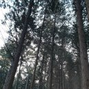 고성사방댐 이미지