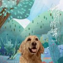 혜성동물병원 이미지