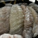 싱싱회 활어 | 삼척 중앙시장 맛집 회포장 맛집 바다회활어｜숙소에서 즐긴 싱싱한 회 후기