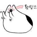 영클리닝 이미지