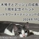 기념타워 이미지