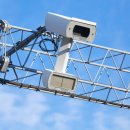 생활원예 야간 이미지