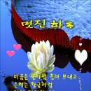 멋진 하루 이미지