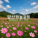 양산시청 동면 주민자치센터 | 양산하늘공원의 매력과 방문 가이드