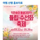 원정여행/ 4월16일(화)개심사 왕벗꽃,청벗꽃&amp;튤립,수선화축제 이미지