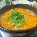 사천향어