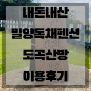 도곡 | 밀양독채펜션추천 내돈내산 촌캉스 대가족숙소 도곡산방 이용후기