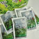 개똥쑥효능제대로 알고 섭취하기 [문경새재웰빙하우스]개똥쑥즙