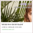 뉴골드(97) | 글로 전자담배 종류 비교, 정착한 후기