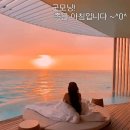 소리삶 이미지
