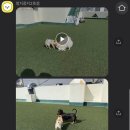 멍지중지 이미지