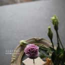 너란플라워