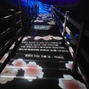 사천의밤 이미지