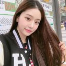 프리지아 이미지