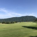 파인 힐링 이미지