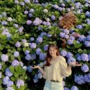 거제-거제-거제-비상-07 이미지