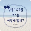 [꽃순일상] 아이와 강릉여행 가볼만한 곳(오죽헌, 감자적 1번지, 중앙시장, 레일바이크)