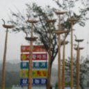 황가네오리 네이버블로그