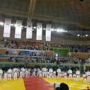 용인대 유도 체육관 이미지