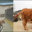 성산리 농로 11 이미지