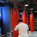 용인대SH복싱 이미지