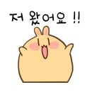 바닷가락 이미지