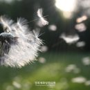 맞춤한의원 이미지