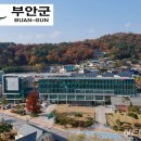 서림공원 유아숲체험원 이미지