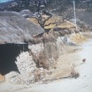 덕산리새마을