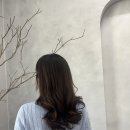 헤어블레스 이미지