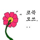 bj 세야에게 별풍 853개쏜 배우 윤균상 ( 컴여시주의 ) 이미지