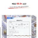 하이댕 이미지