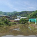 호왕농장 이미지