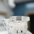 서울랩치과의원 이미지