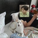 알콩달콩 이미지