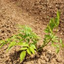 종근목장 이미지