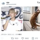 시일건강타운 | NCT WISH 'COLOR' 발매 기념 공개 쇼케이스 미당첨 후기 ㅣ풀숲뷰 1열 직관ㅣ코엑스 겉돌기ㅣ위시 보고...