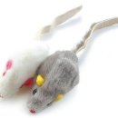 마타타비 이미지