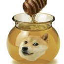 인컴존 이미지