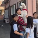 아워비전