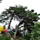 운양동 1350, 1354일대 | 2021년 부처님오신날에 통도사 19암자를 순례하면서...