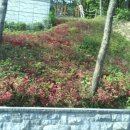 방지거조경(주)
